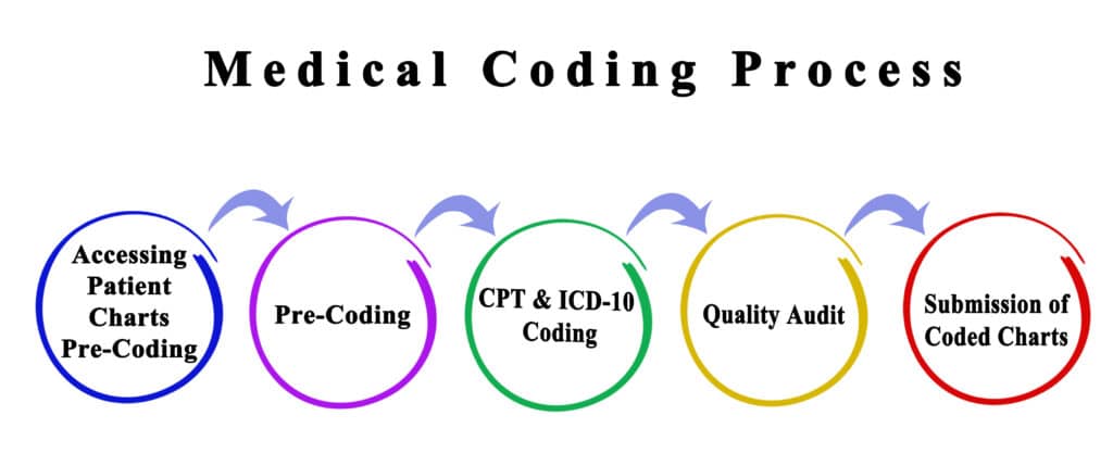 CPT Codes: What They Are, Types, and Uses